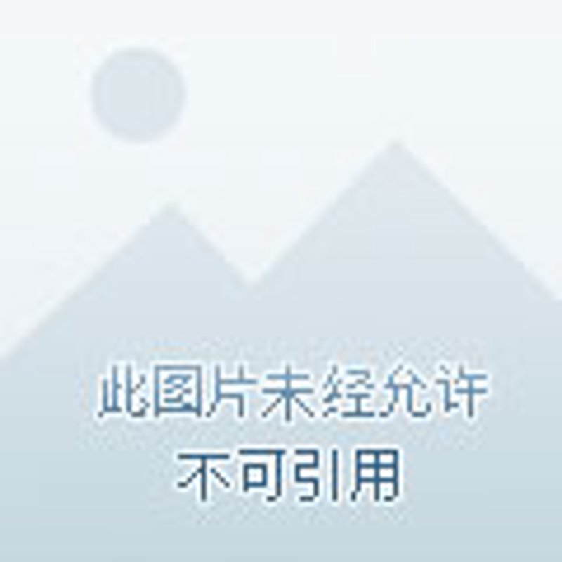 电子设备分销